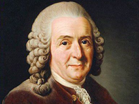 Carl von Linné Carl von Linné