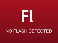 No flash detected No flash detected