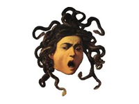 Medusa Medusa