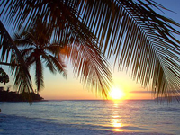 Strand i Thailand Strand i Thailand