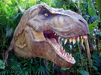 Tyrannosaurius rex Tyrannosaurius rex
