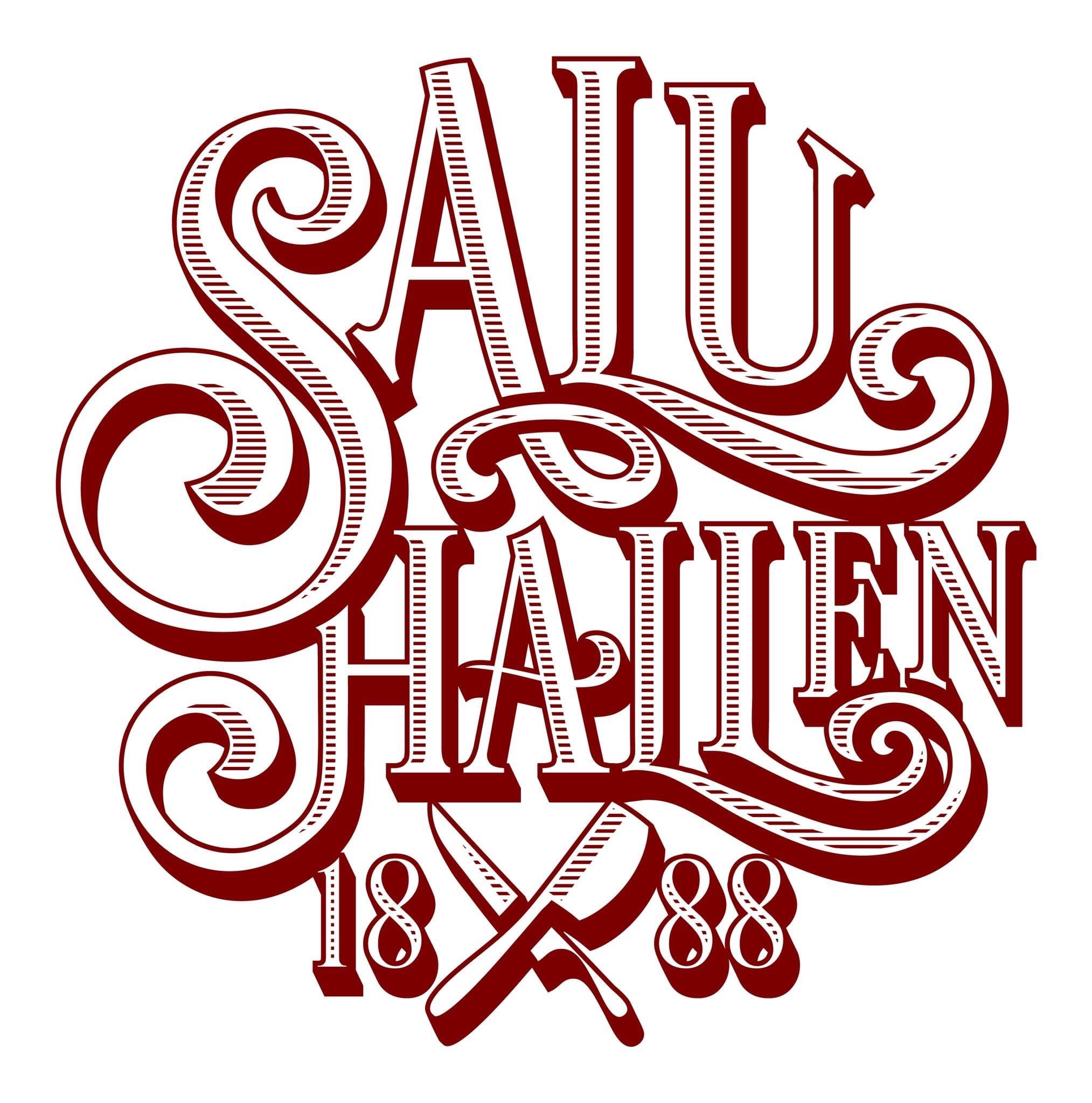Logotyp för SALUHALLEN Logotyp för SALUHALLEN