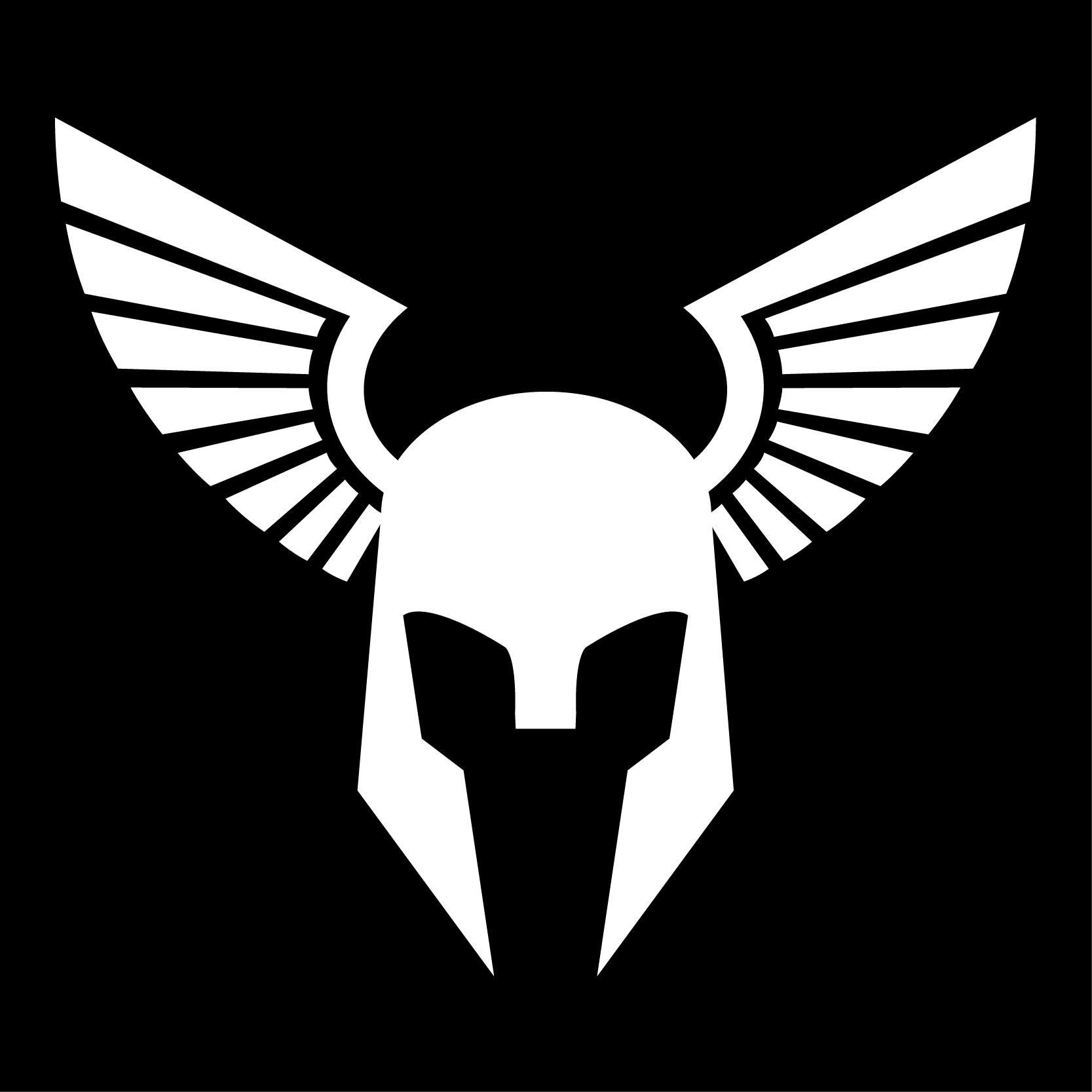 Logotyp för TOUGH VIKING