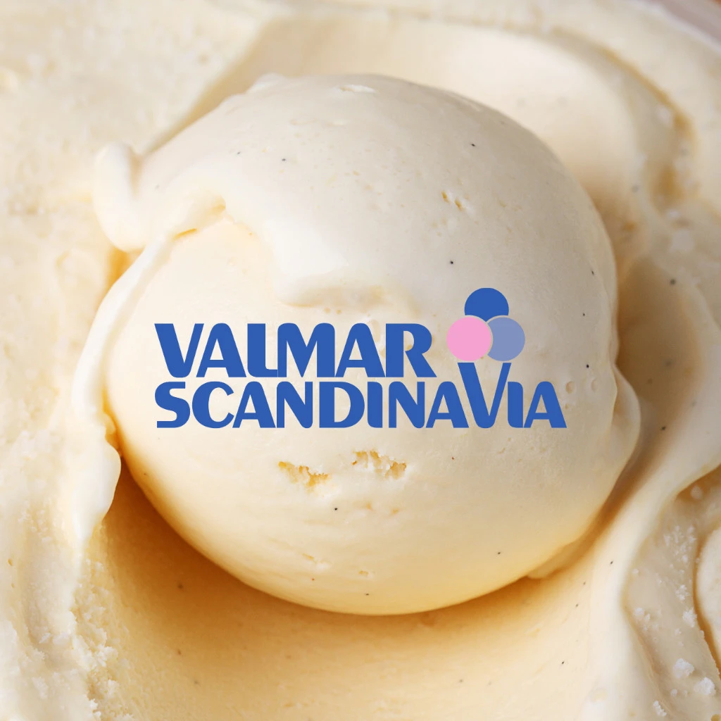 Logotyp för VALMAR SCANDINAVIA