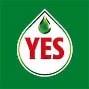 Logotyp för YES
